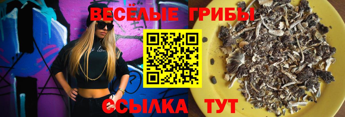Галлюциногенные грибы ЛСД  Вход с VPN  Магнитогорск  хочу   Галлюциногенные грибы Psilocybine cubensis 